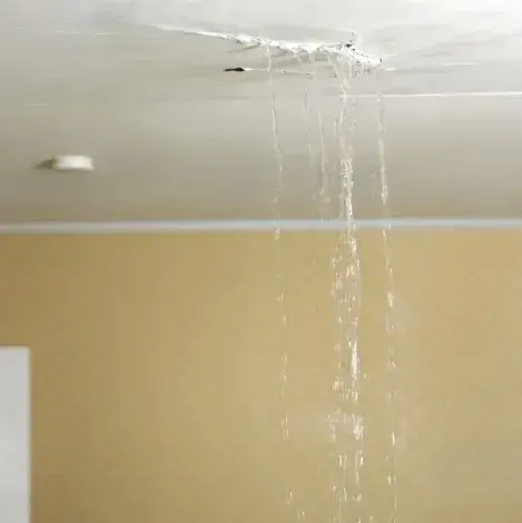 شركة كشف تسربات الأسطح في عجمان