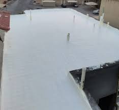 شركة عزل اسطح بجبل علي